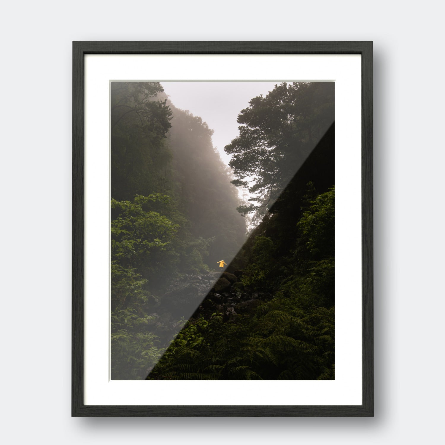 Madeira Jungle